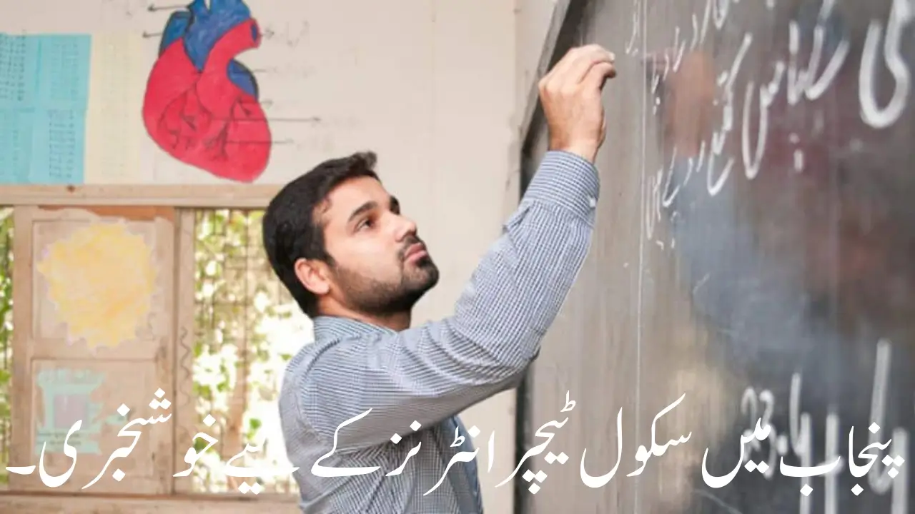 Good News For School Teacher Interns In Punjab