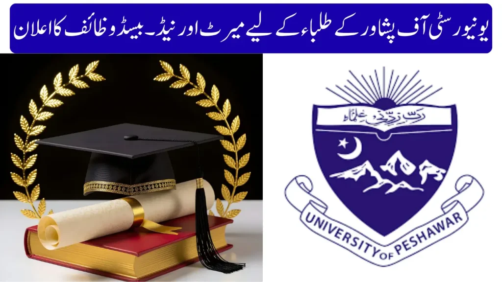 Current image: Merit And Need-Based Financial Aid Program Launched At University Of Peshawar